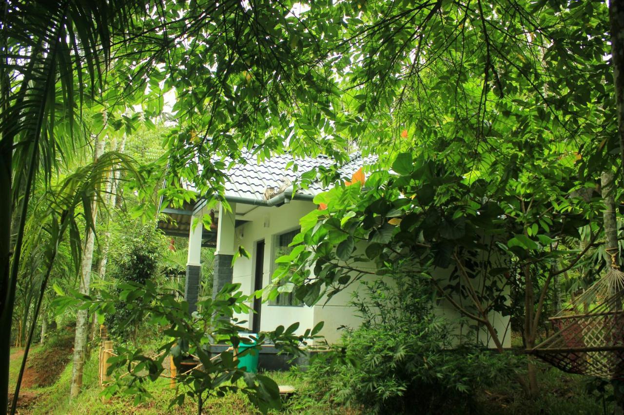 Vintage Garden Resort スルタン・バザリー エクステリア 写真